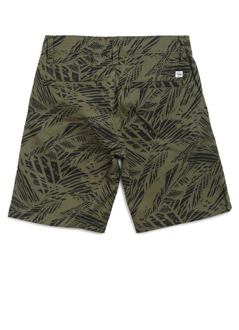 Regular Fit Shorts, , large image number 1