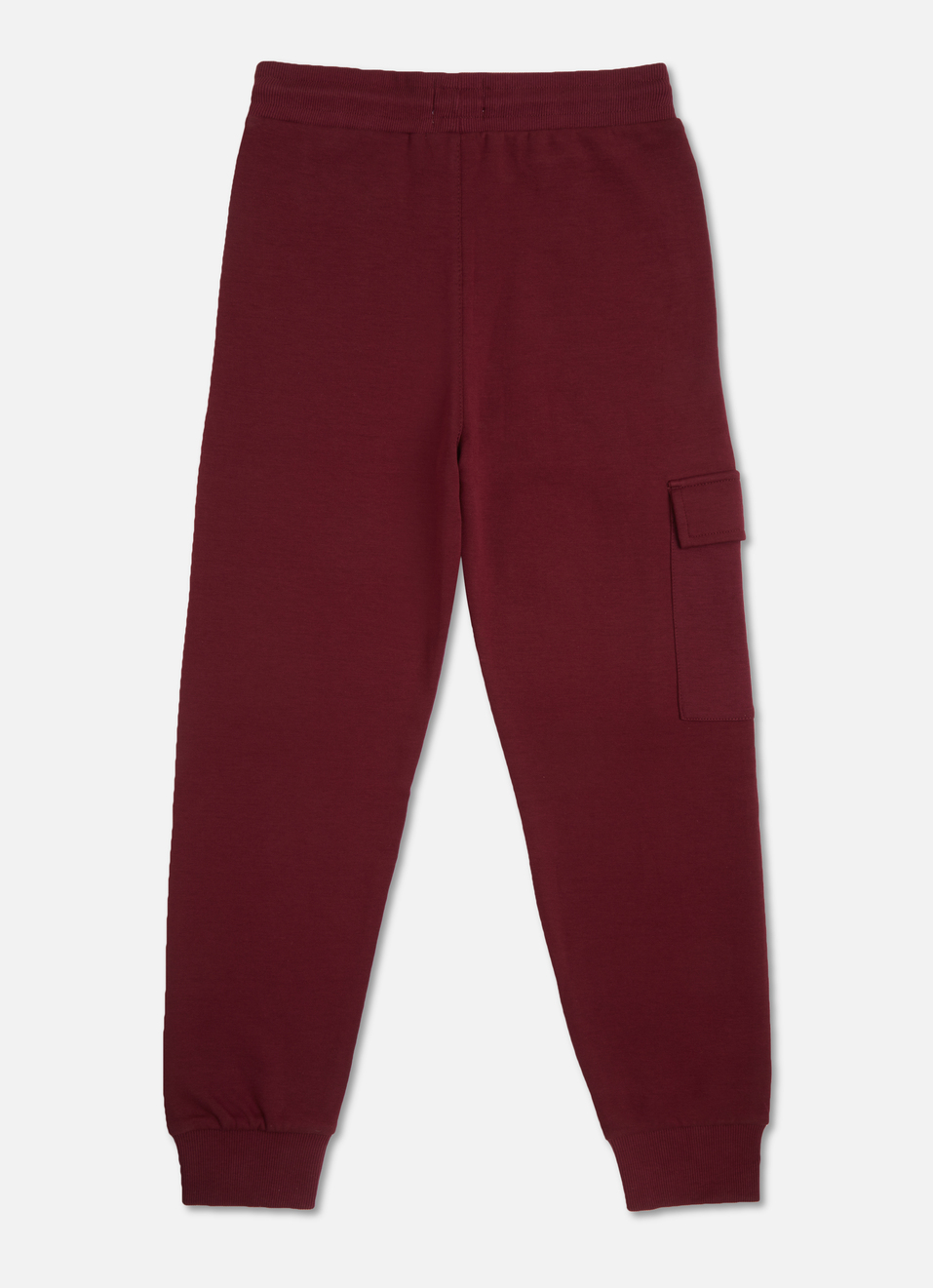 Boys Burgundy Graphic Print Joggers, , large image number 1