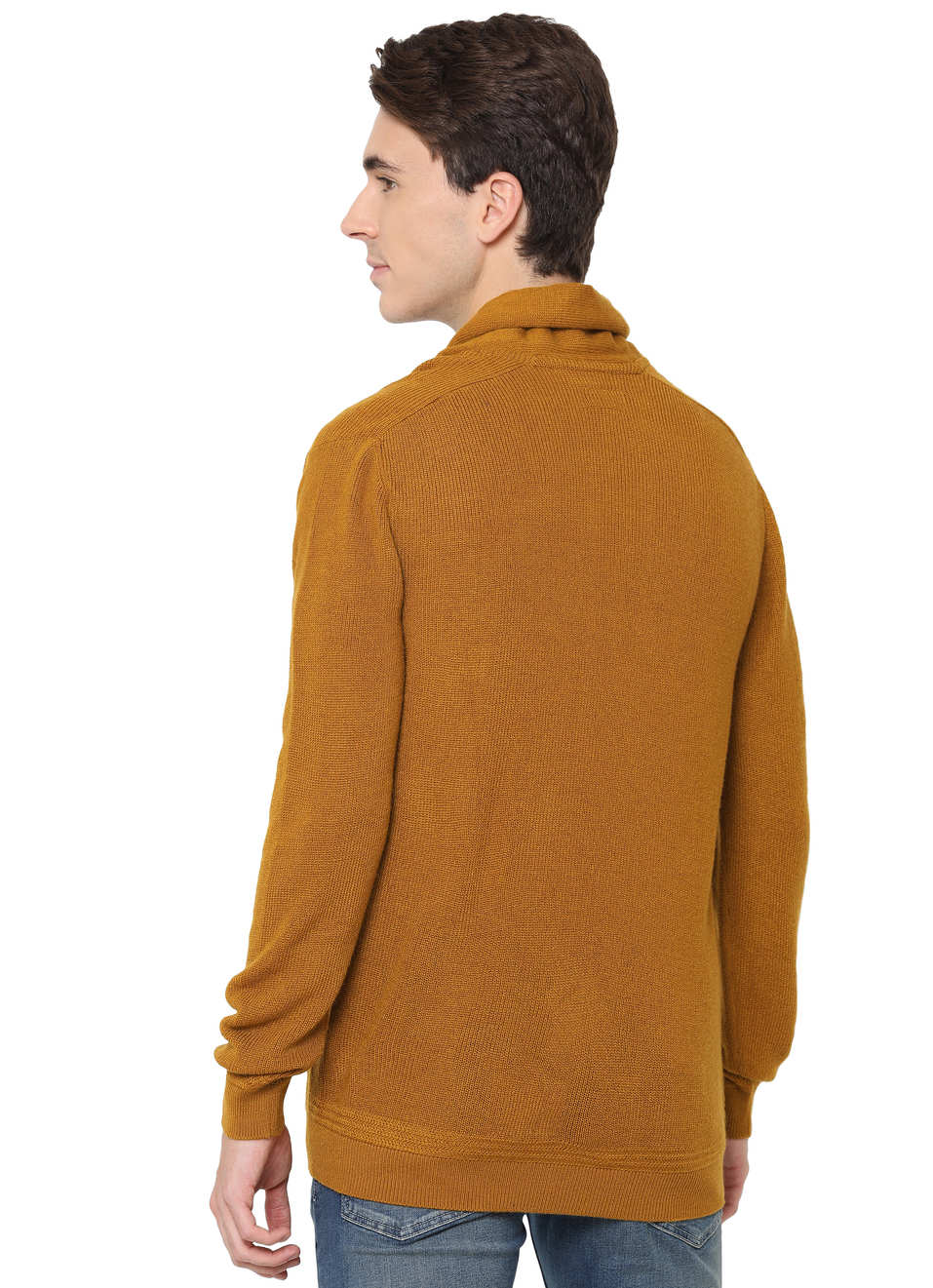 Icon Ls Solid Collared Sweater, , large image number 1