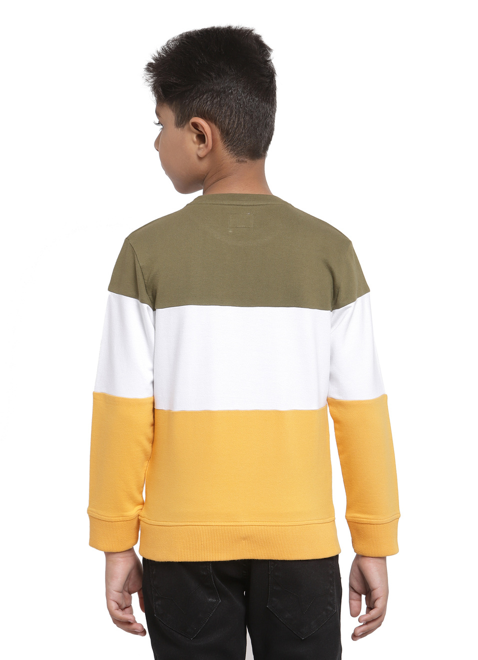 Darwin Ls Stripe Sweatshirt, , large image number 1