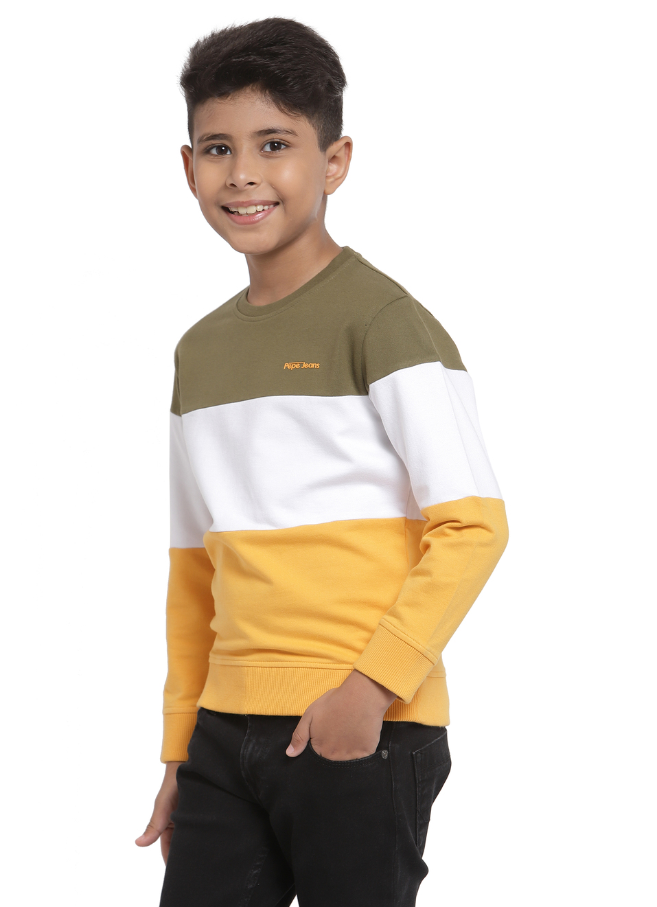 Darwin Ls Stripe Sweatshirt, , large image number 2