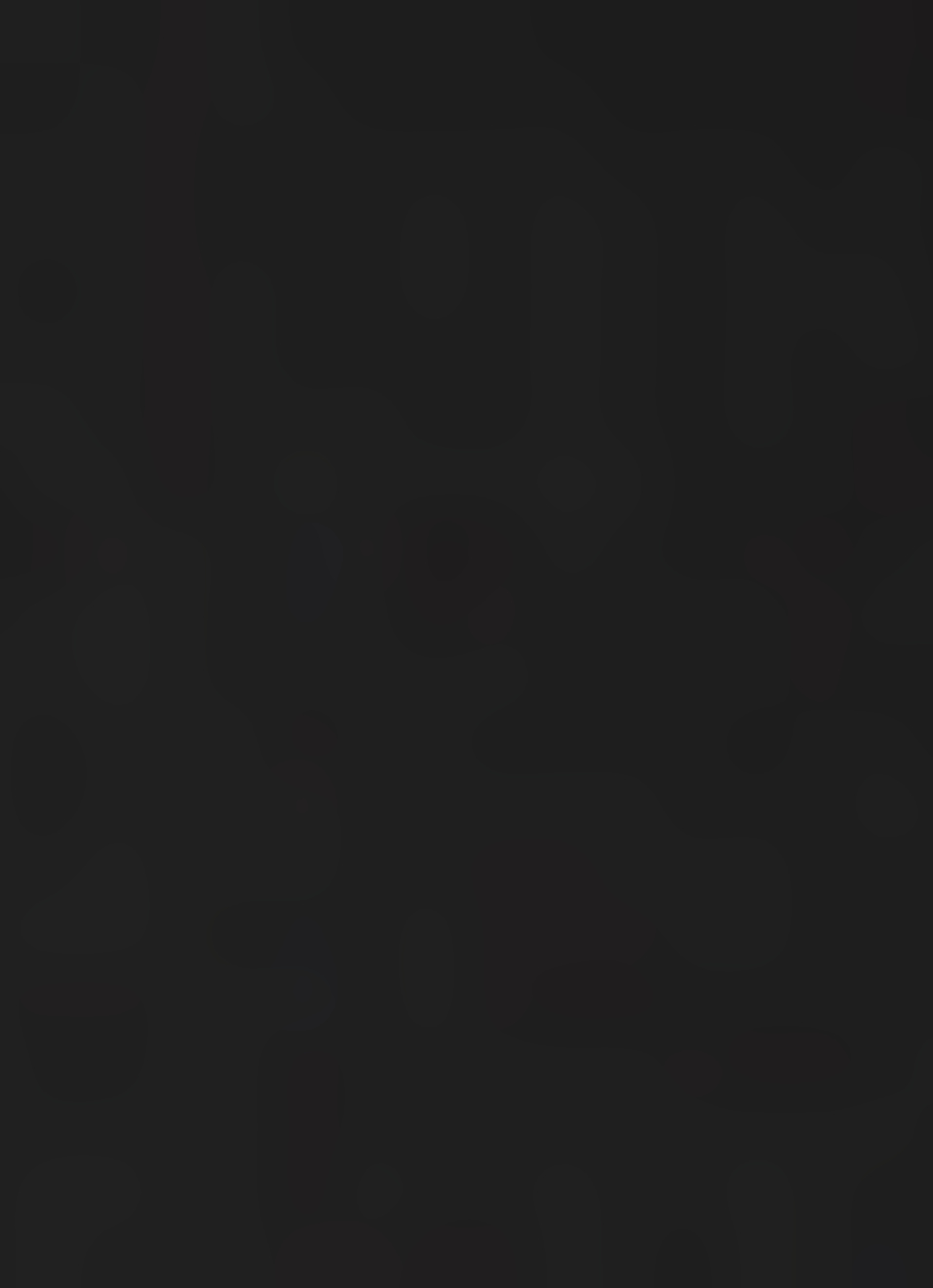 Gritz Hoodie Tshirt, , large image number 4