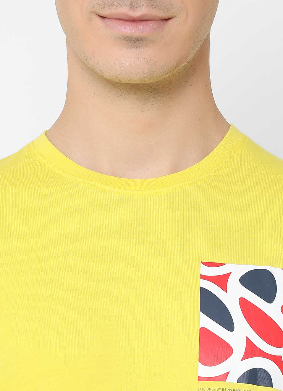 Alford Graphic Printed Tshirt, , large image number 4