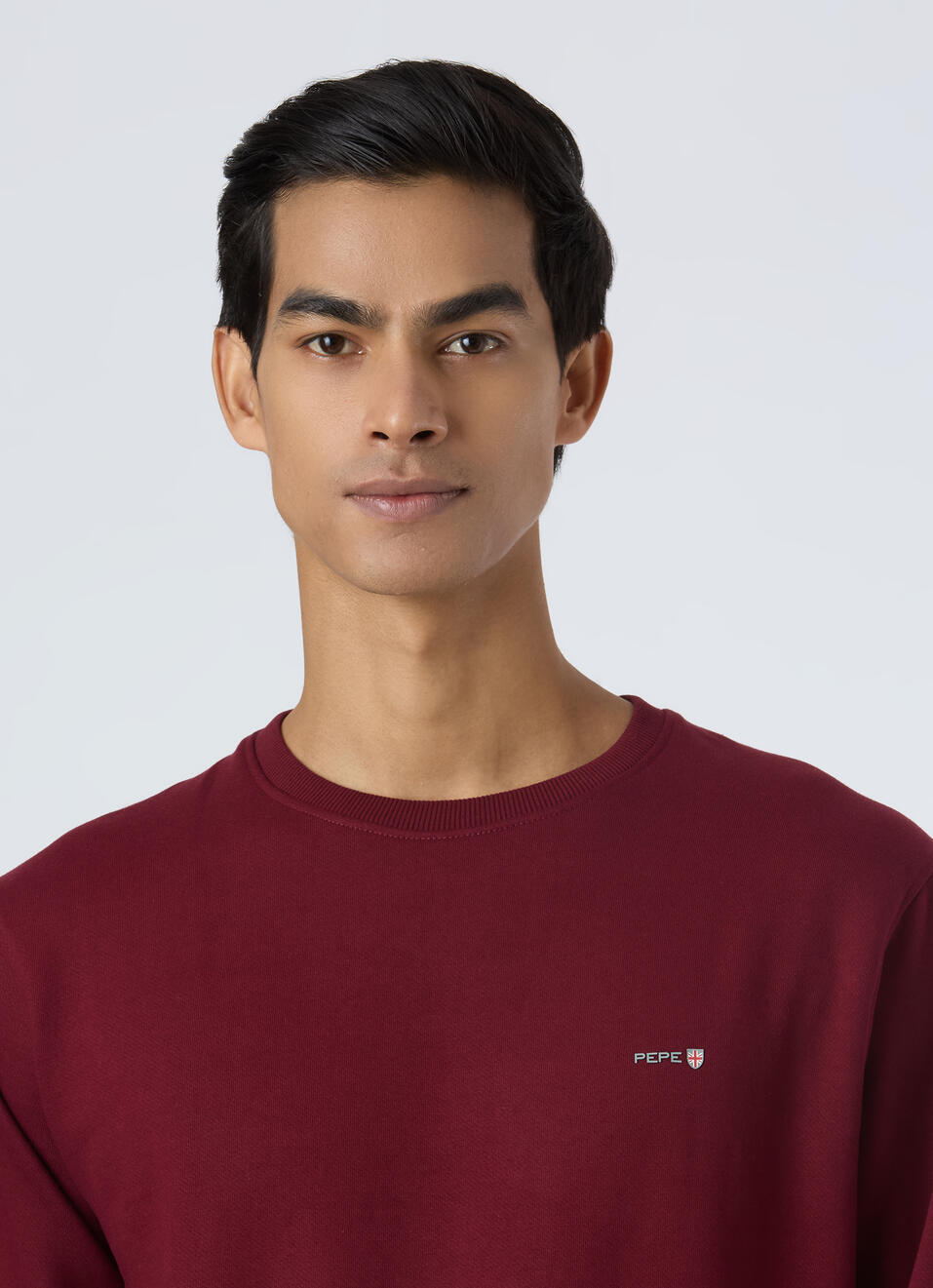 Men Burgundy Red Embroidery Logo Sweatshirt, , large image number 4