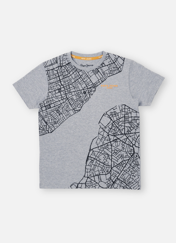 Boys Grey Graphic Print Short Sleeve  T-shirt