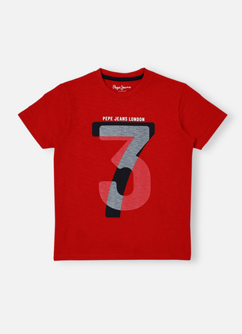 Boys Graphic Print Short Sleeve  T-shirt