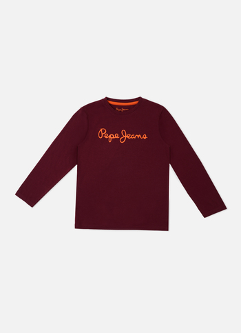 Boys Brand Carrier Full Sleeve T-shirt