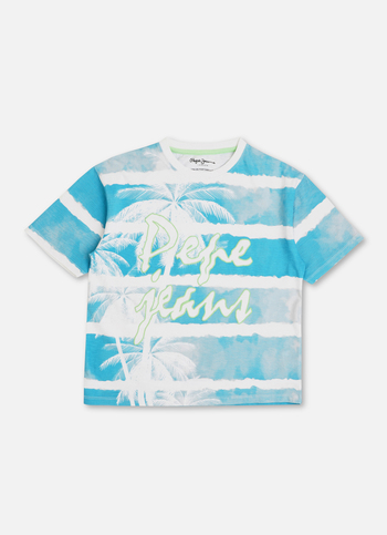 Boys French Blue Beach Inspired Distressed Stripes Print T-shirt