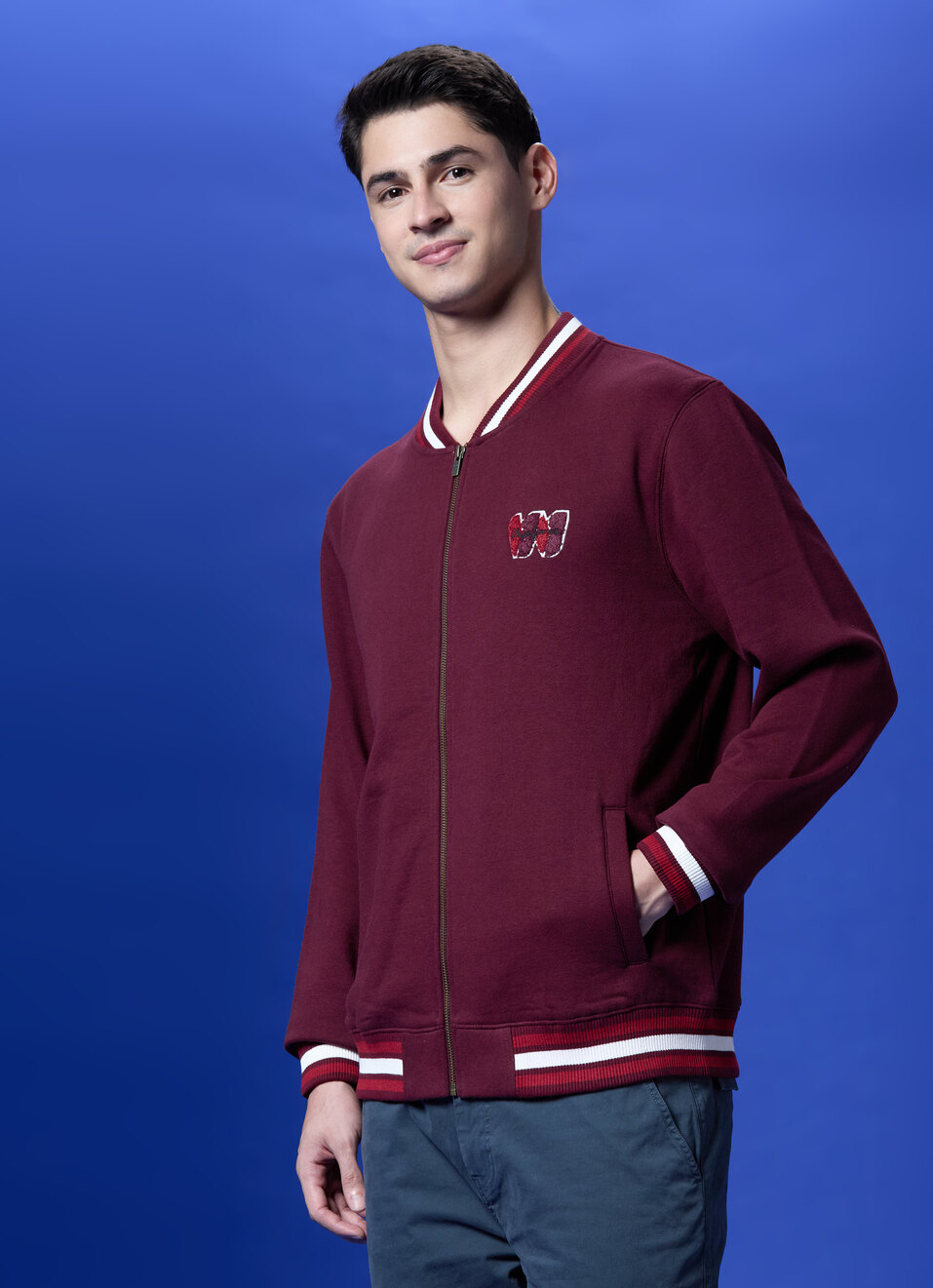 Burgundy Back Print Full Sleeve Sweatshirt, , large image number 3