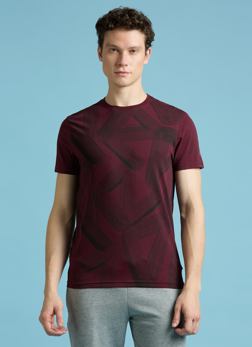 Burgundy Typographic Print Short Sleeves T-shirt, , large image number 1