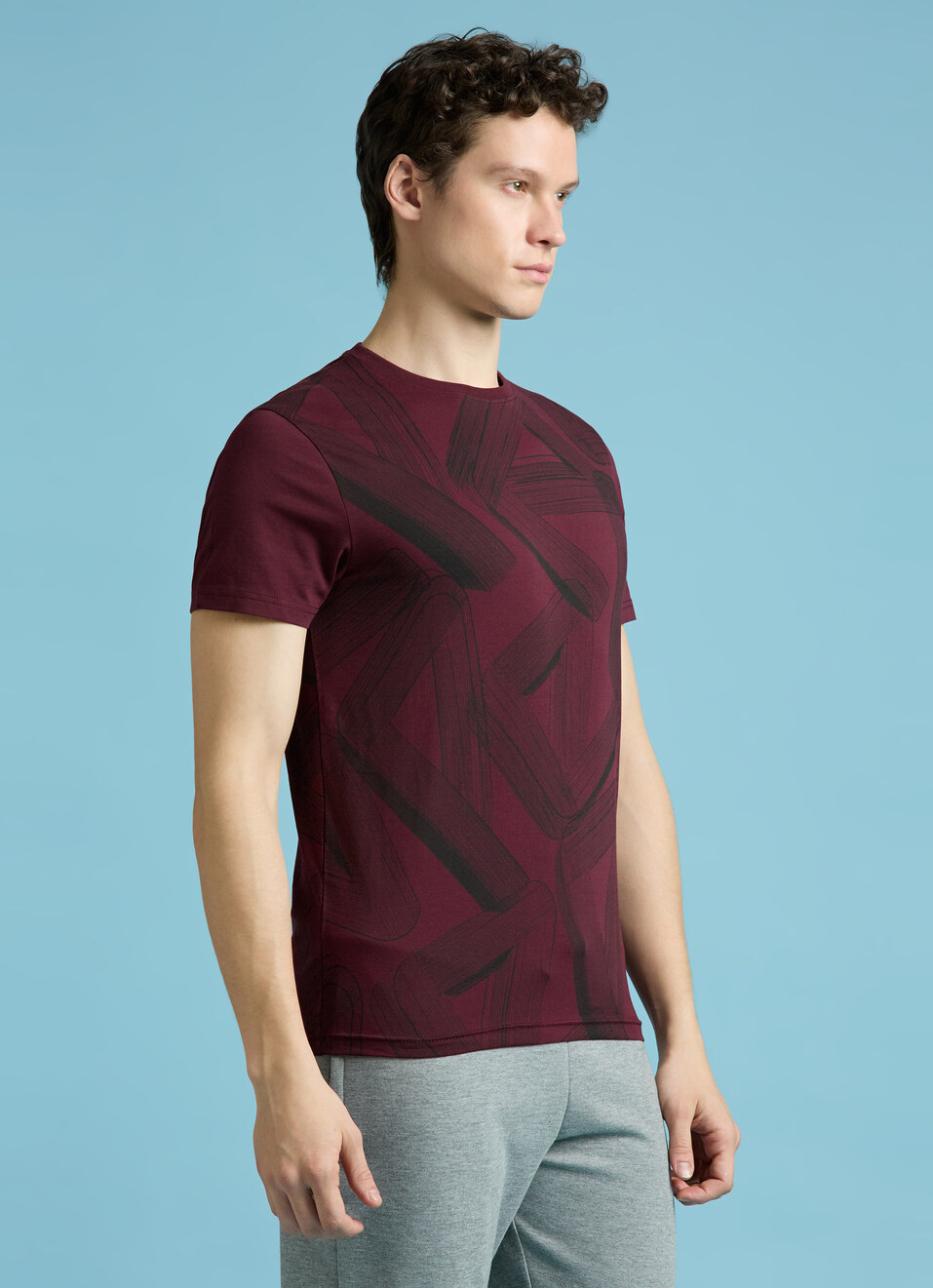 Burgundy Typographic Print Short Sleeves T-shirt, , large image number 3
