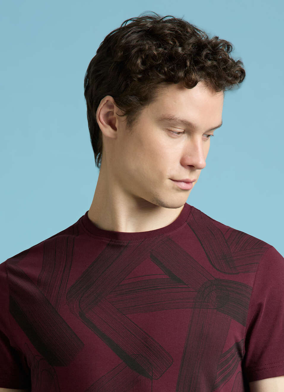 Burgundy Typographic Print Short Sleeves T-shirt, , large image number 4