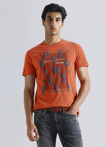 Orange Graphic Print Short Sleeve T-shirt