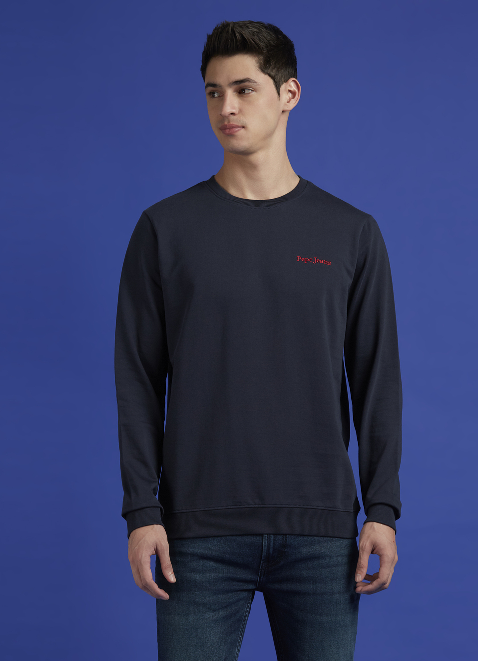 Blue Back Print Full Sleeve Sweatshirt, , large image number 1