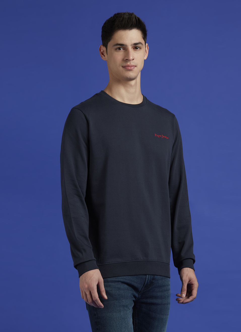 Blue Back Print Full Sleeve Sweatshirt, , large image number 3