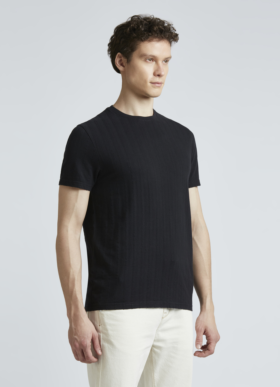 Black Stripes Short Sleeve T-shirt, , large image number 3