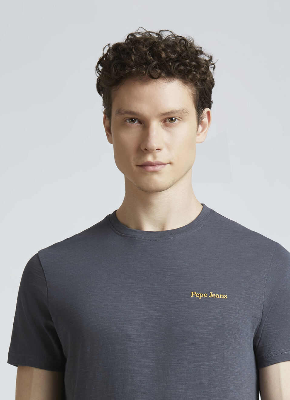 Grey Graphic Print Short Sleeve T-shirt, , large image number 4