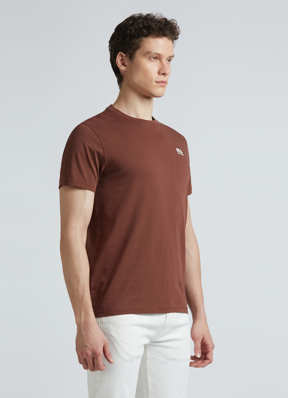 Brown Back Print Short Sleeve T-shirt, , large image number 3