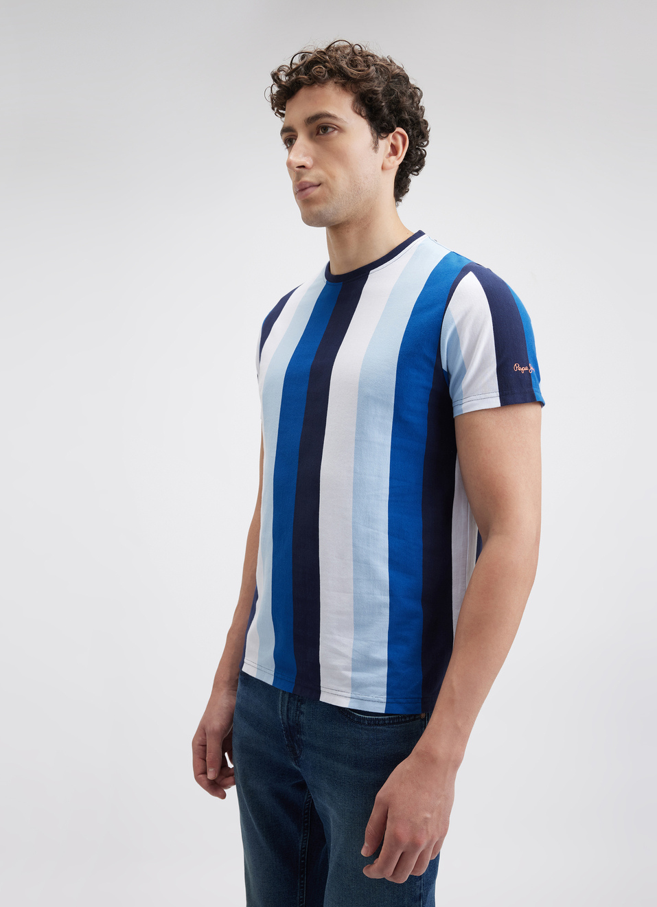 Men Navy Stripe Short Sleeve T-shirt, , large image number 3