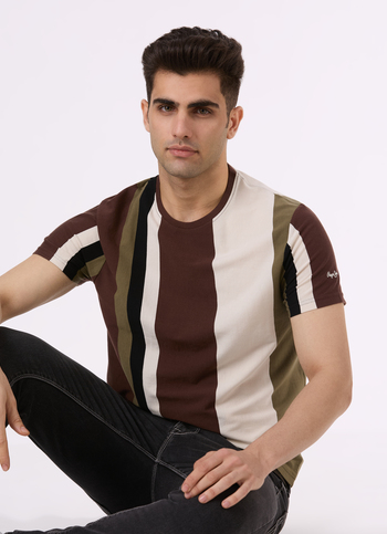 Men Brown Vertical Stripe Short Sleeve T-shirt