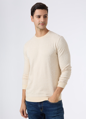 Men Beige Textured Slim Fit Full Sleeve T-shirt