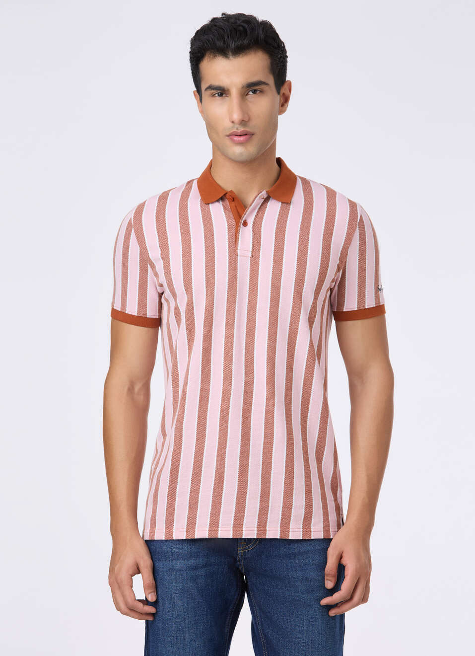 Men Rust & White Vertical Stripe Polo, , large image number 1
