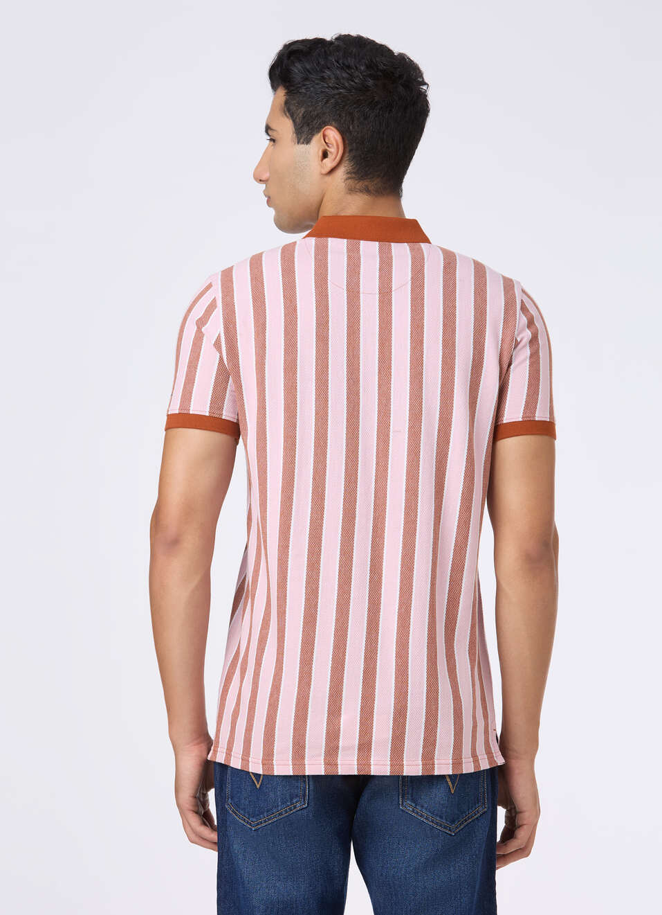 Men Rust & White Vertical Stripe Polo, , large image number 2