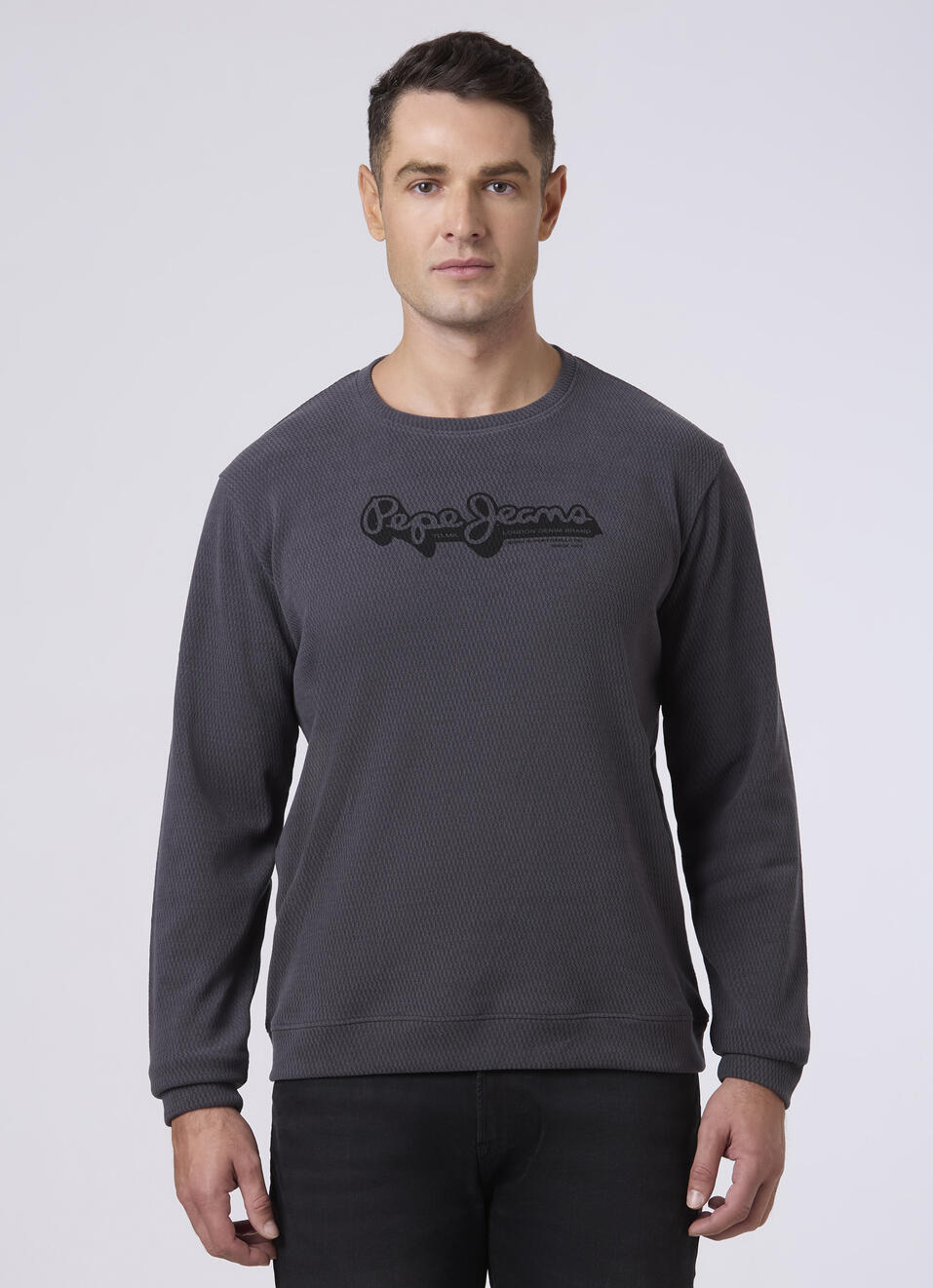 Men Grey Textured Logo Print Sweatshirt, , large image number 1