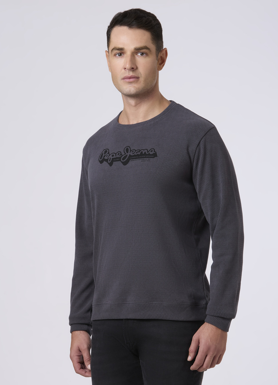 Men Grey Textured Logo Print Sweatshirt, , large image number 3