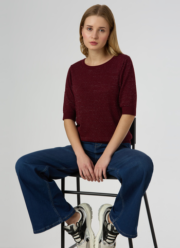 Women Red Textured Regular Fit Knit Top
