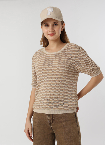 Women Beige Textured Stripe Knit Short Sleeve Flat Knit