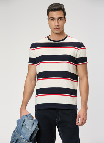 Men Navy Striped Slim Fit T-shirt