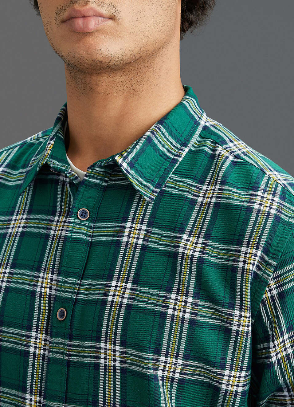 Men Green Checked Regular Fit Long Sleeve Shirt, , large image number 1
