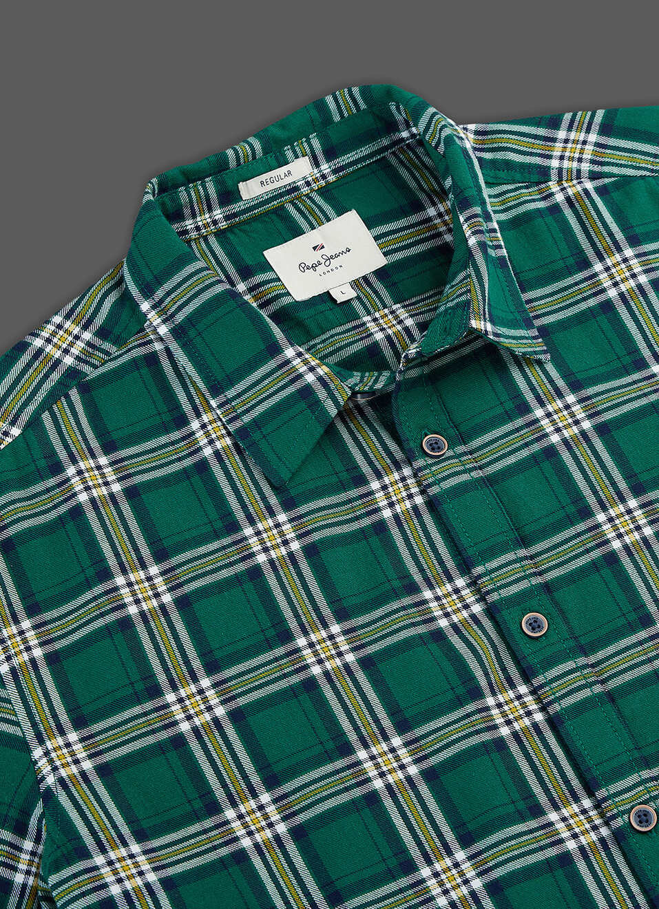 Men Green Checked Regular Fit Long Sleeve Shirt, , large image number 3