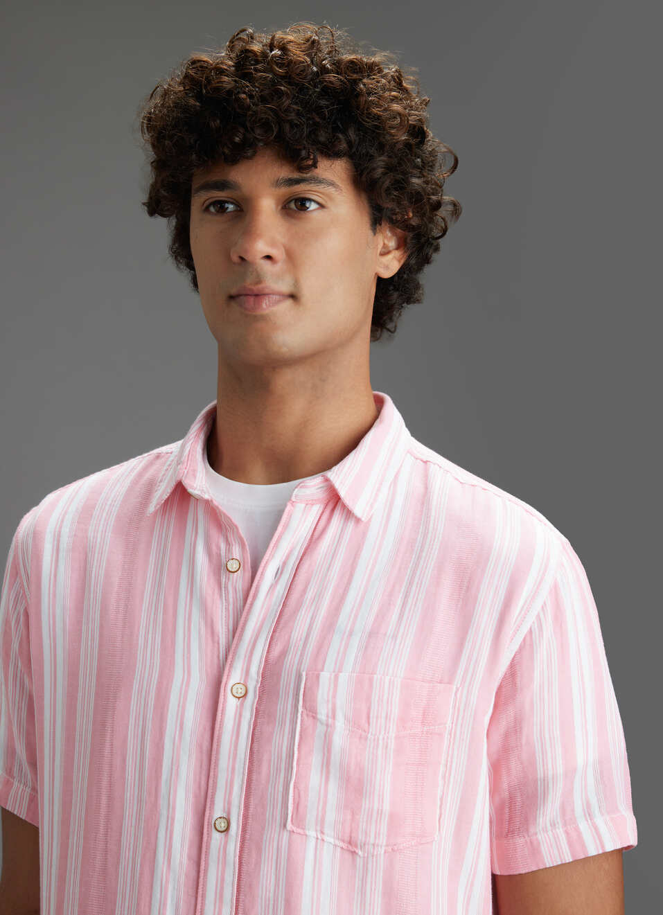 Men Pink Striped Regular Fit Short Sleeve Casual Shirt, , large image number 4
