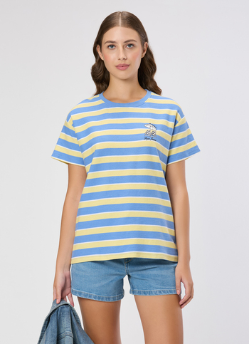 Women Blue Striped T-shirt