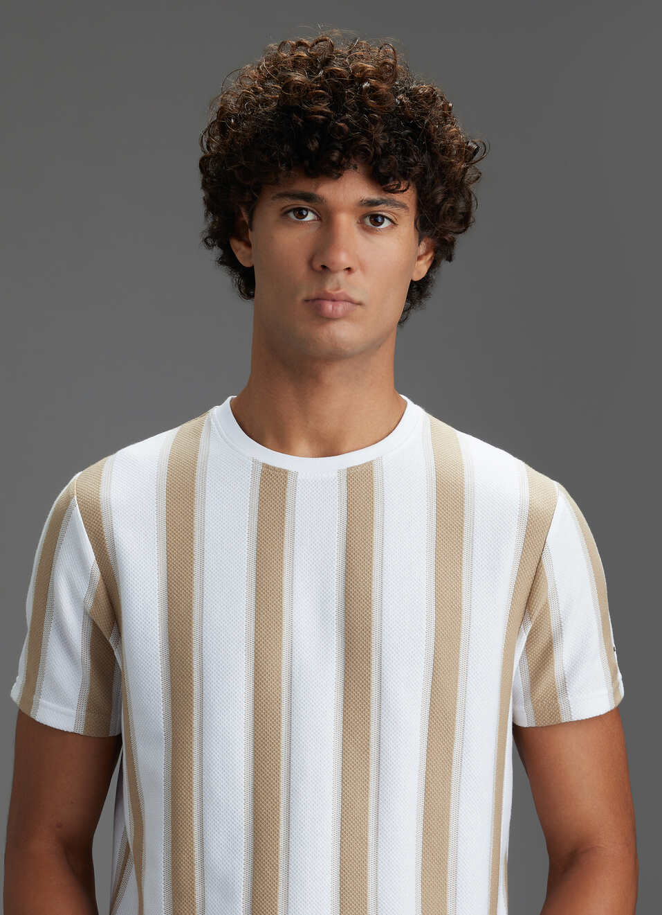 Men Beige Vertical Stripe Slim Fit Short Sleeve T-shirt, , large image number 4