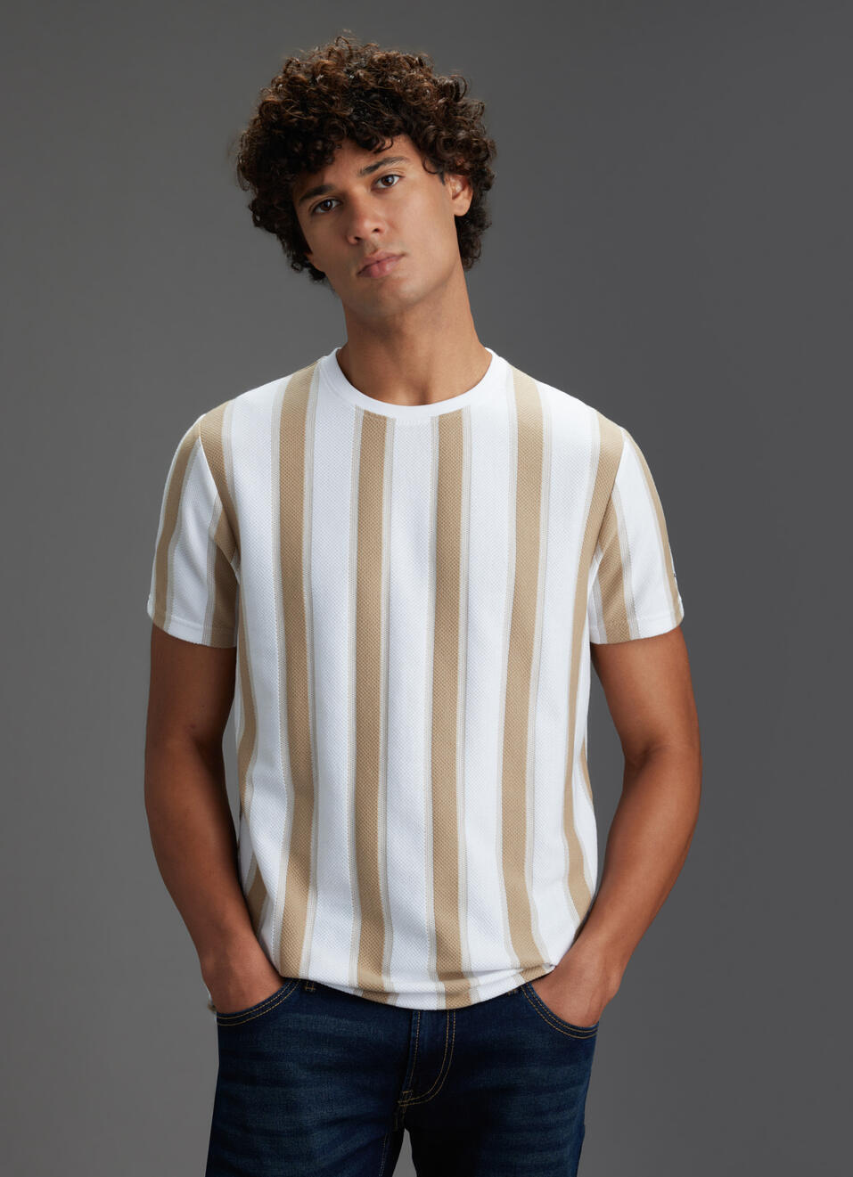 Men Beige Vertical Stripe Slim Fit Short Sleeve T-shirt, , large image number 5