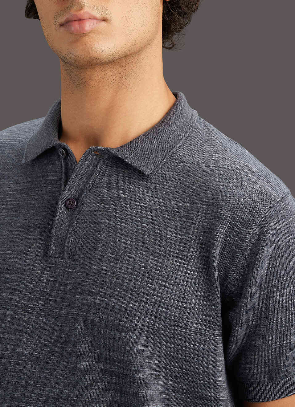 Men Grey Solid Regular Fit Polo Collar T-shirt, , large image number 1