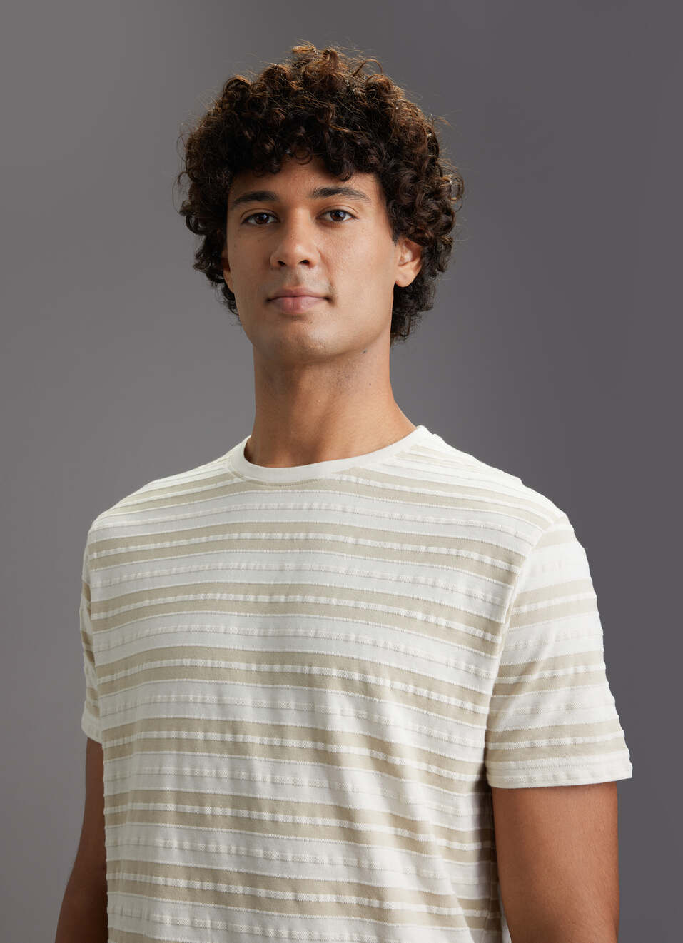 Men Ecru White Textured Stripe Slim Fit Short Sleeve T-shirt, , large image number 4