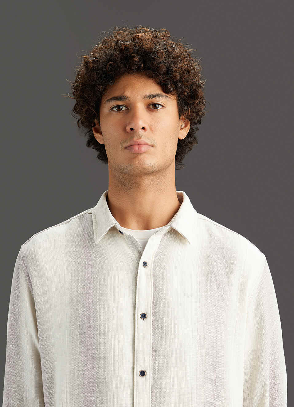 Men Grey Striped Regular Fit Cotton Shirt, , large image number 4