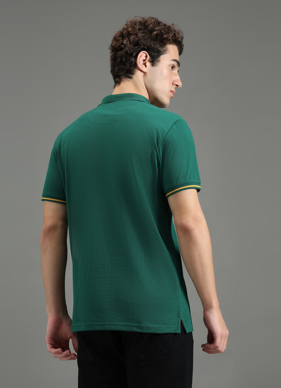 Men Green Solid Short Sleeves Polo, , large image number 2