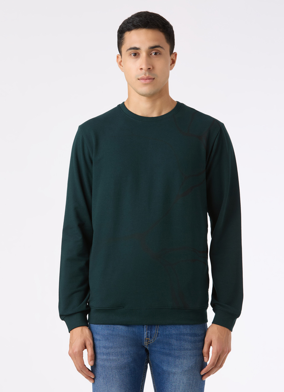 Men Teal Blue Abstract Print Regular Fit Sweatshirt, , large image number 1